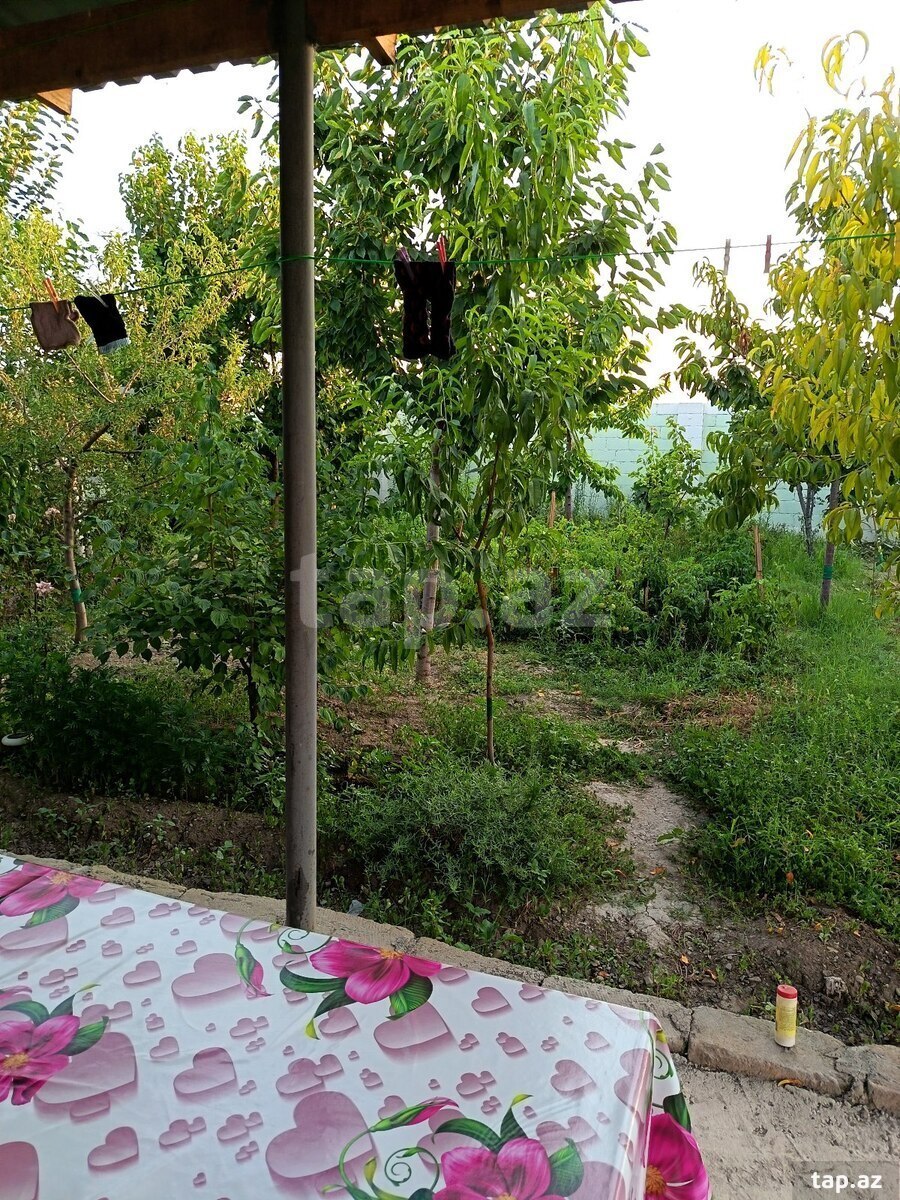 Həyət evi, Gəncə ş.