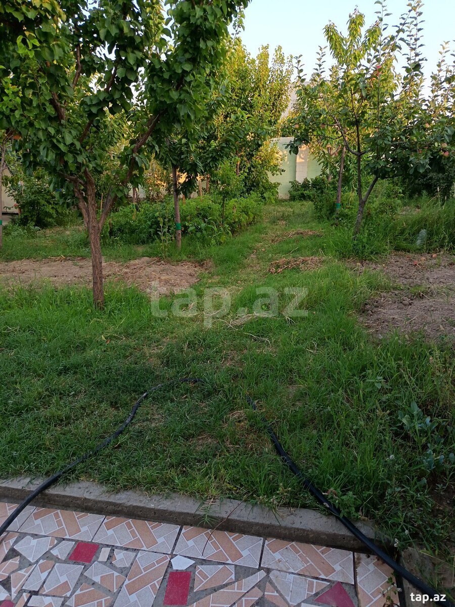 Həyət evi, Gəncə ş.