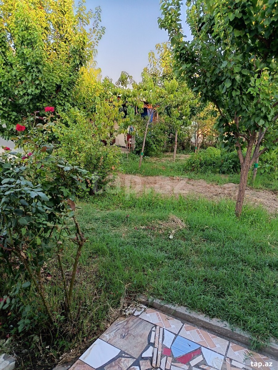 Həyət evi, Gəncə ş.