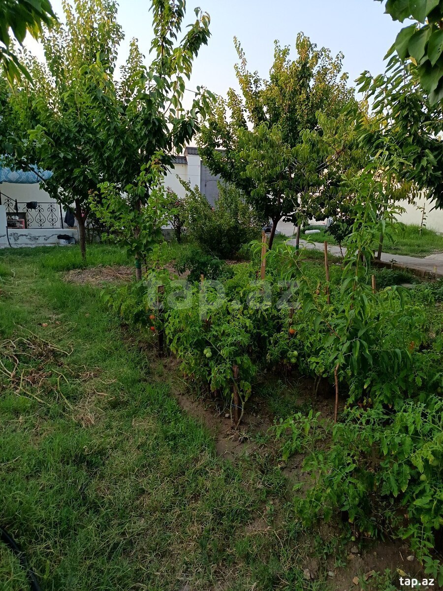Həyət evi, Gəncə ş.