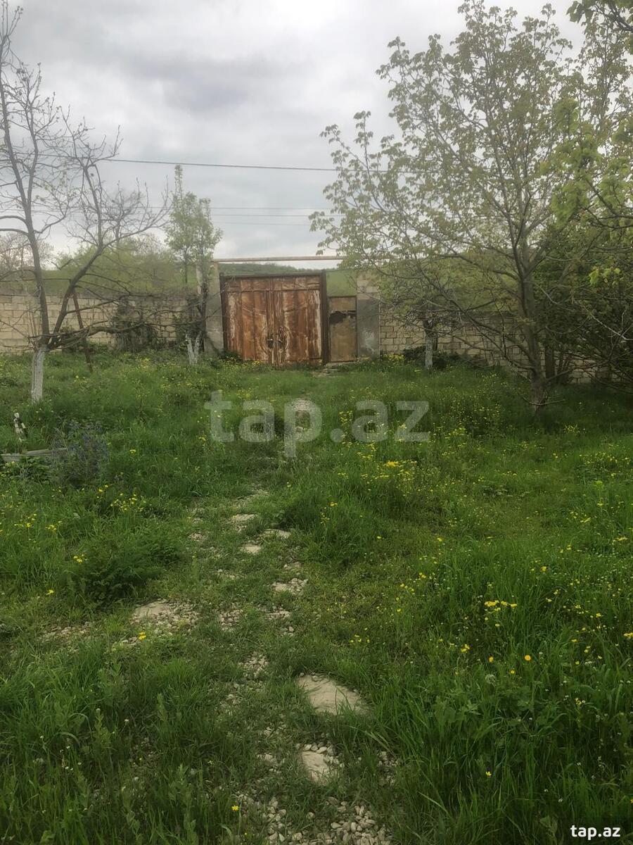 Həyət evi, Şabran r.