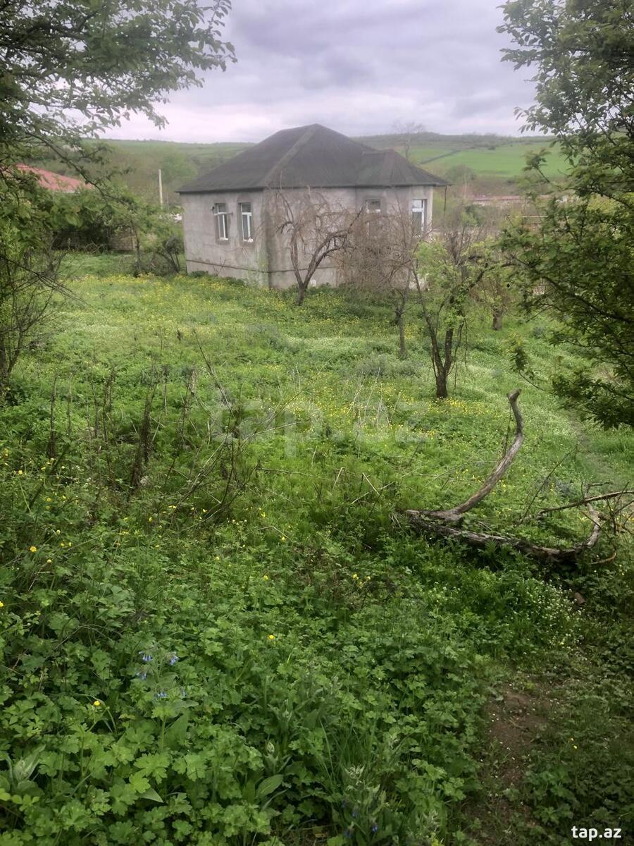 Həyət evi, Şabran r.