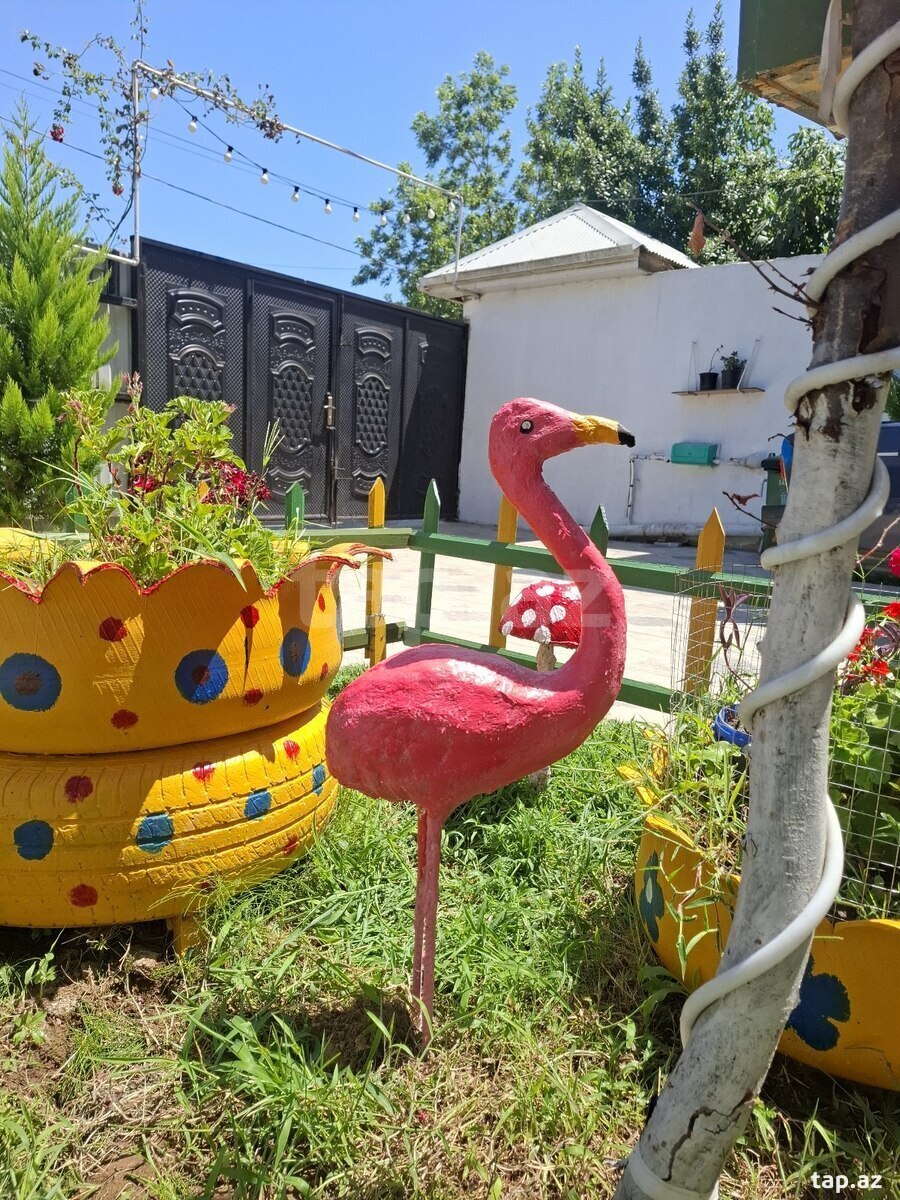 2-room country house for rent, Lankaran