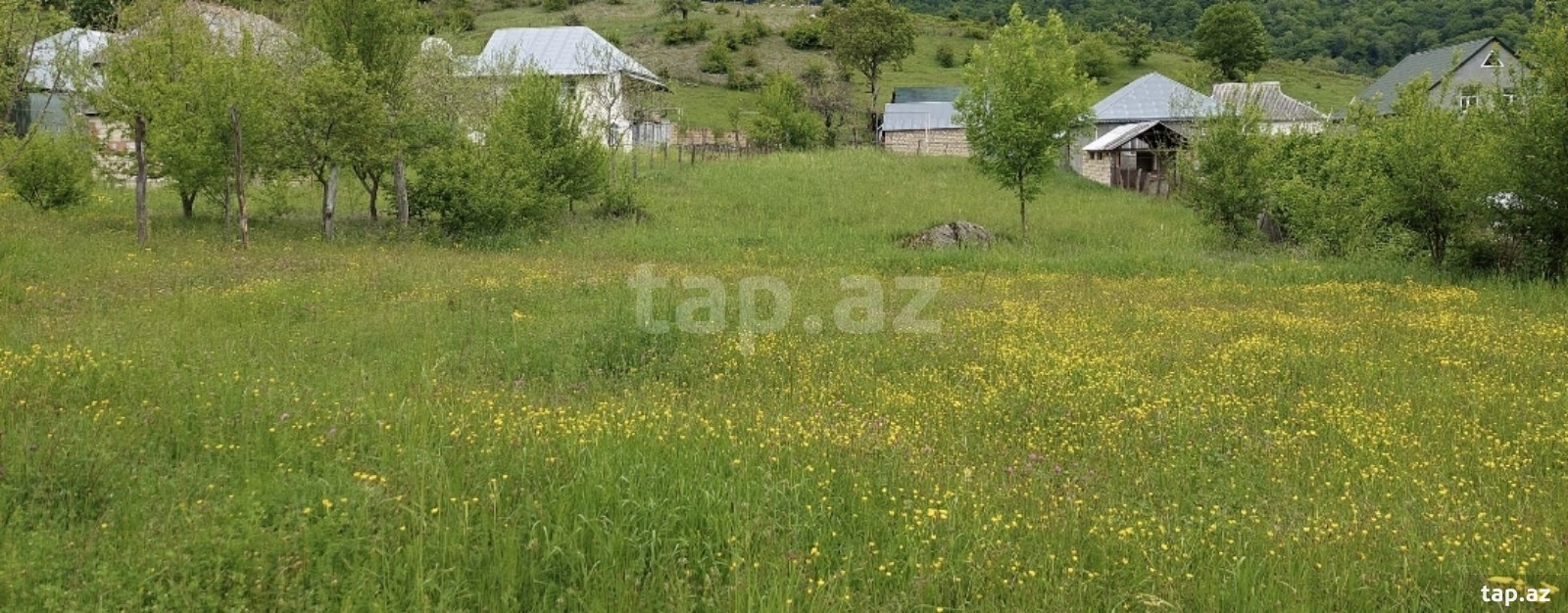 16 sot torpaq sahəsi, İsmayıllı r.
