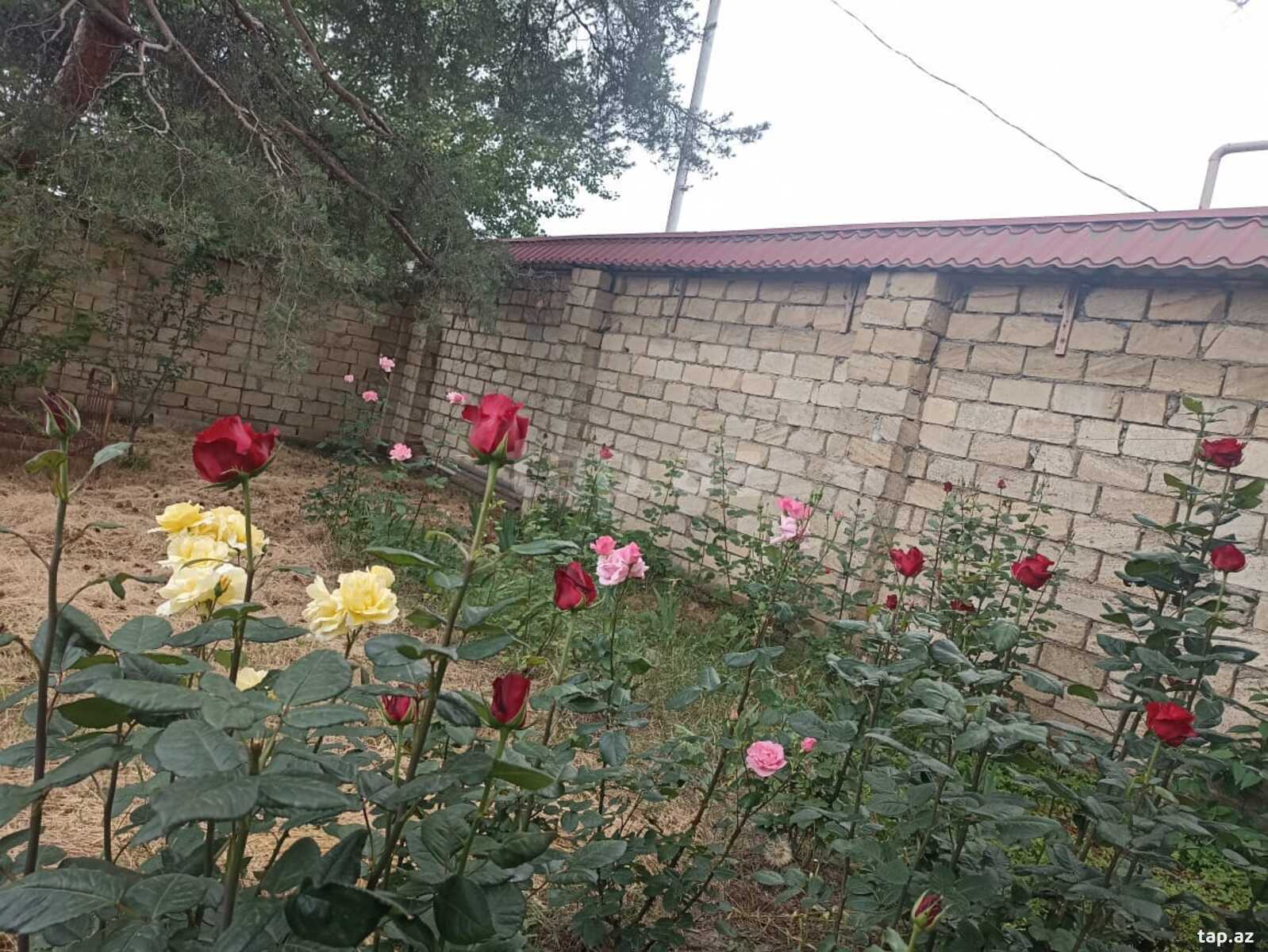 Həyət evi kirayə verilir, Quba r.