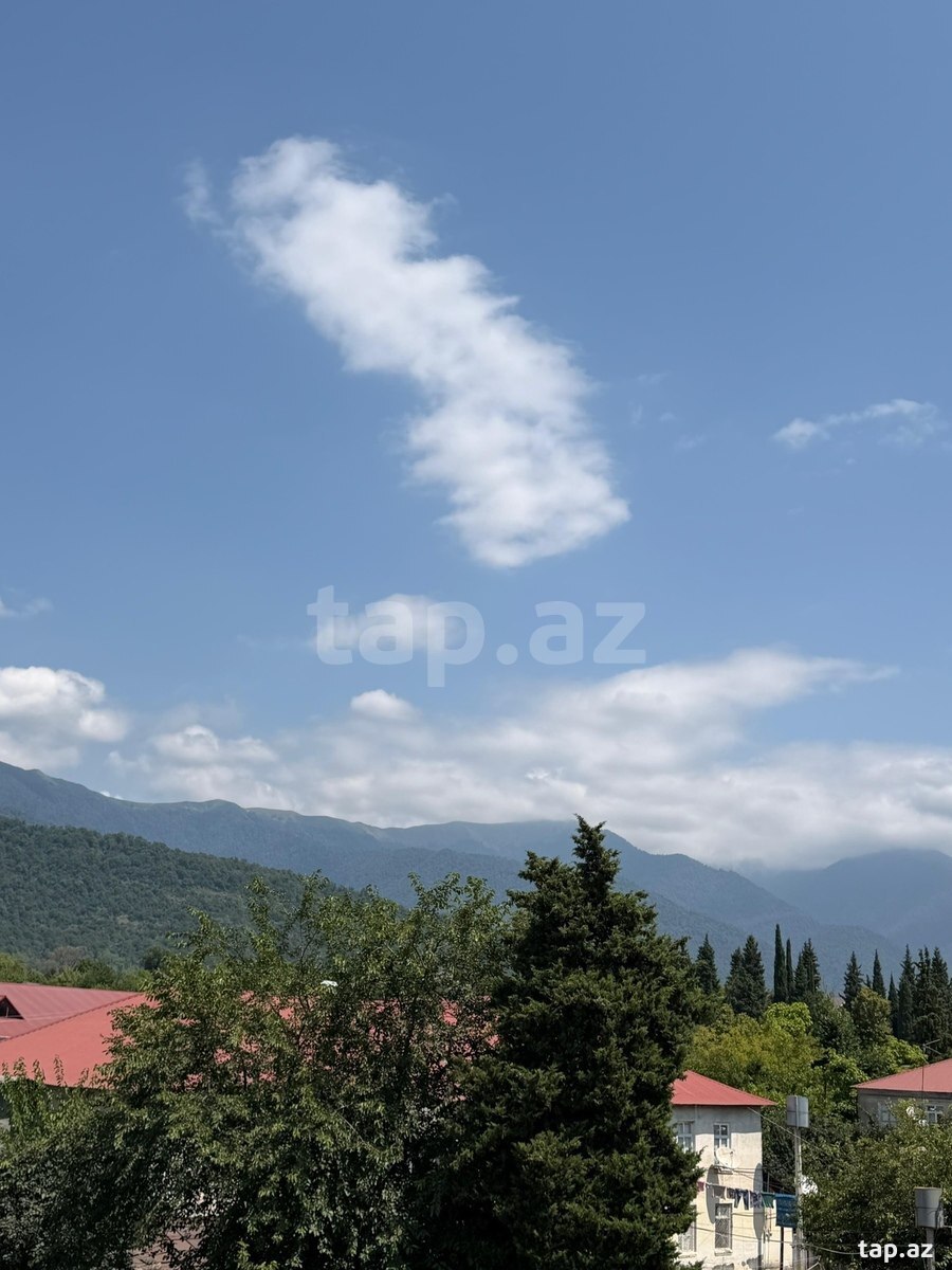 1-otaqlı yeni tikili kirayə verilir, Zaqatala r., 59 m²