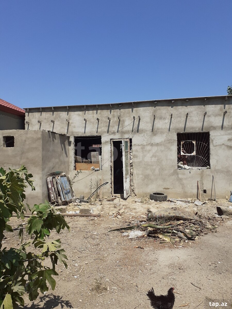 Torpaq satılır, Albalılıq, Bakı