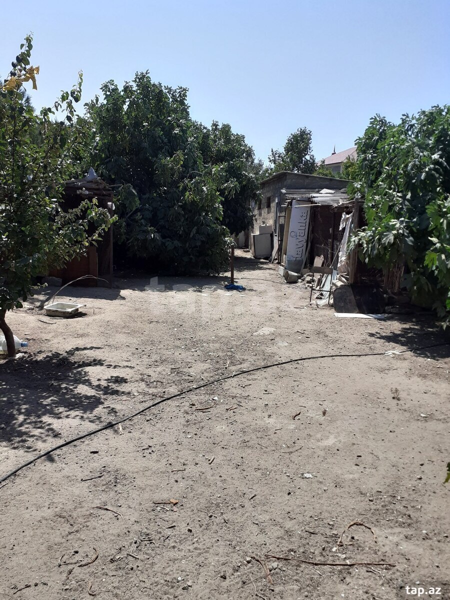 Torpaq satılır, Albalılıq, Bakı