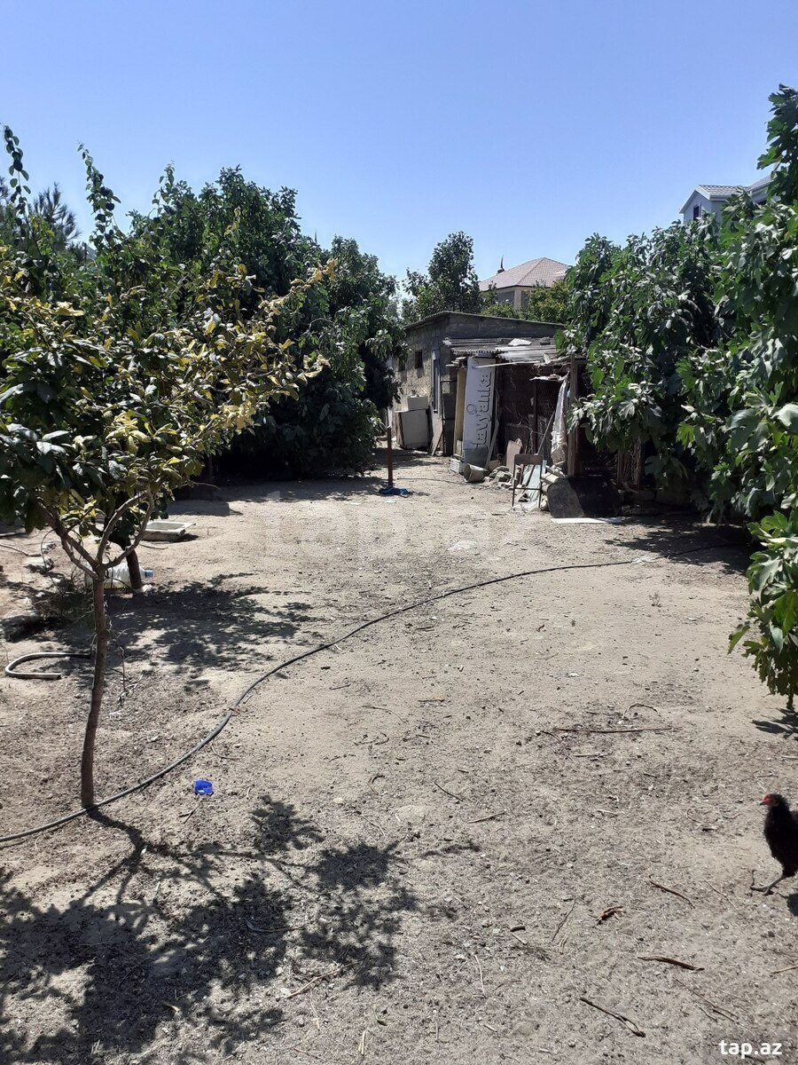 Torpaq satılır, Albalılıq, Bakı