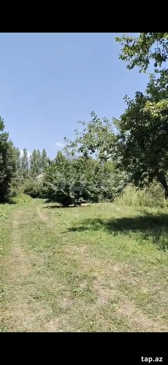 10 sot torpaq sahəsi, Qəbələ r.