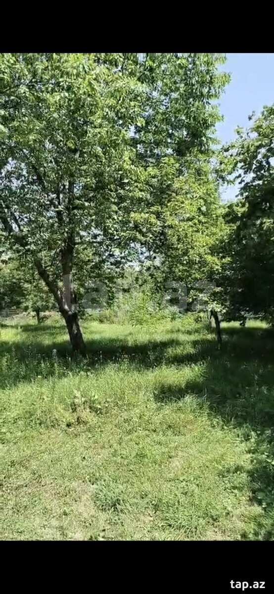5 sot torpaq sahəsi, Qəbələ r.