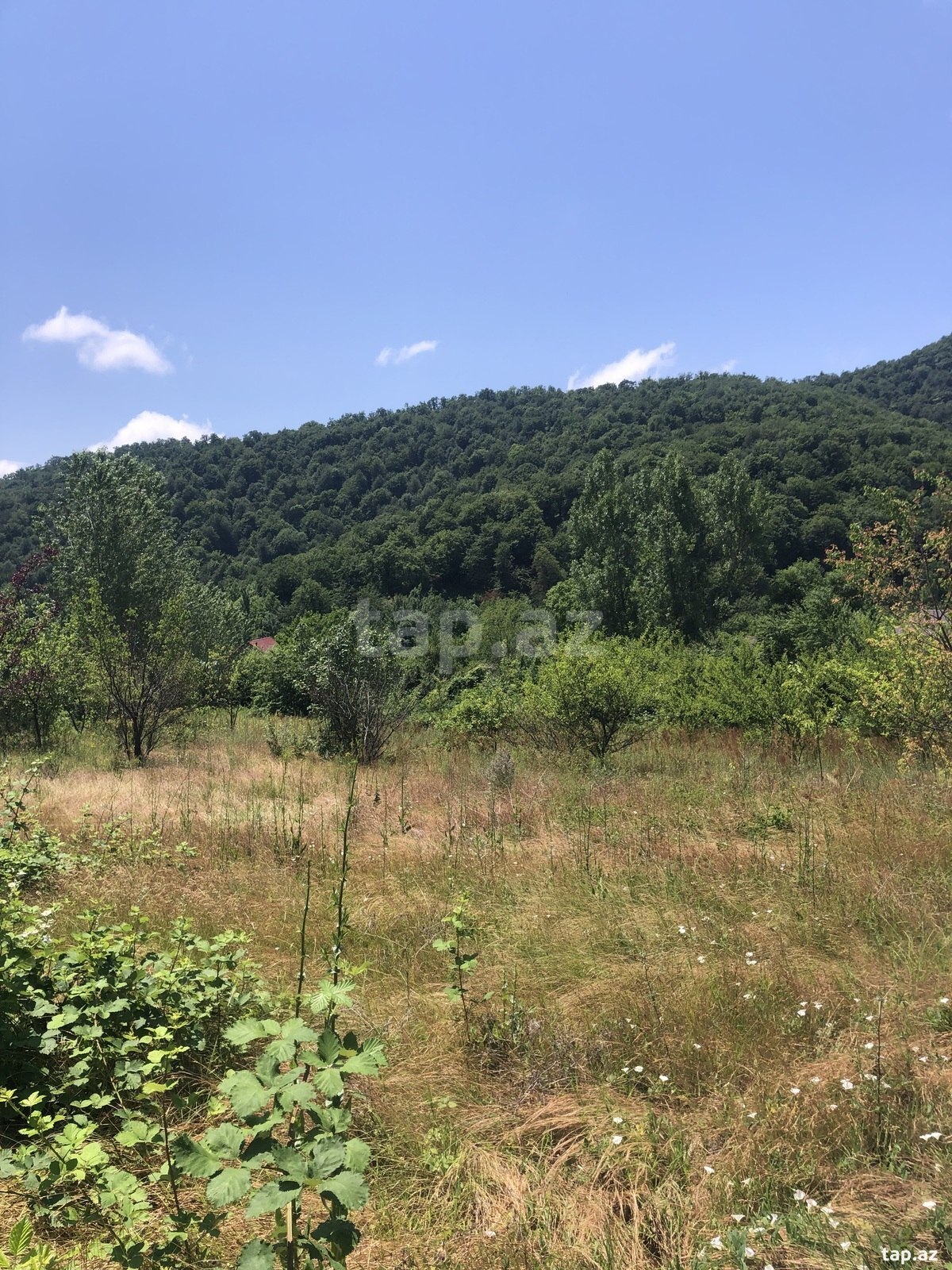 Torpaq satılır, Qəbələ