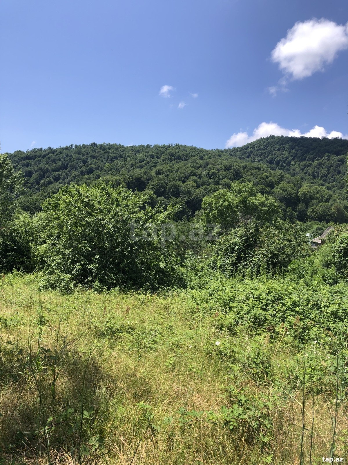 Torpaq satılır, Qəbələ