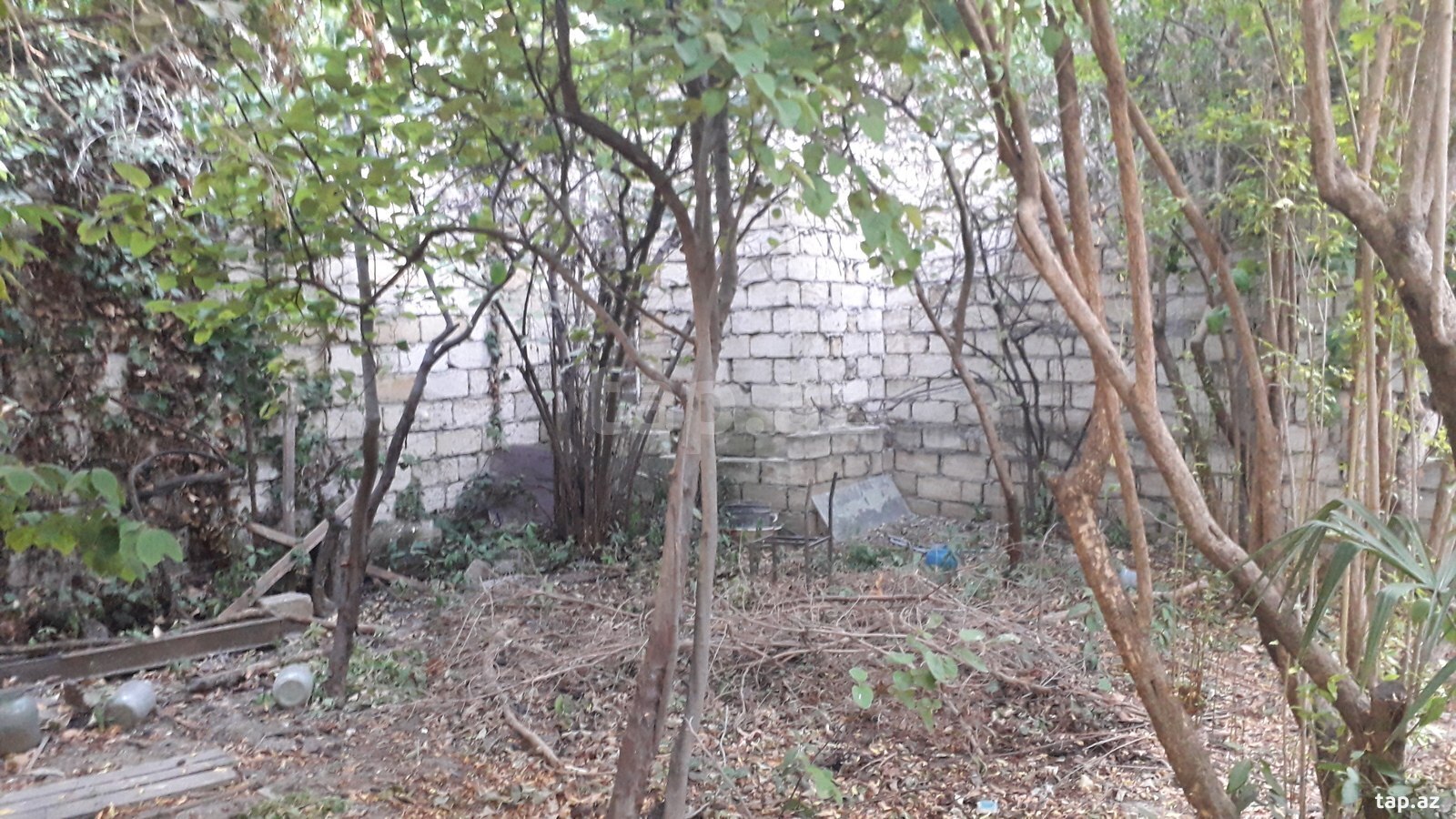 3 sot torpaq sahəsi, Biləcəri qəs.