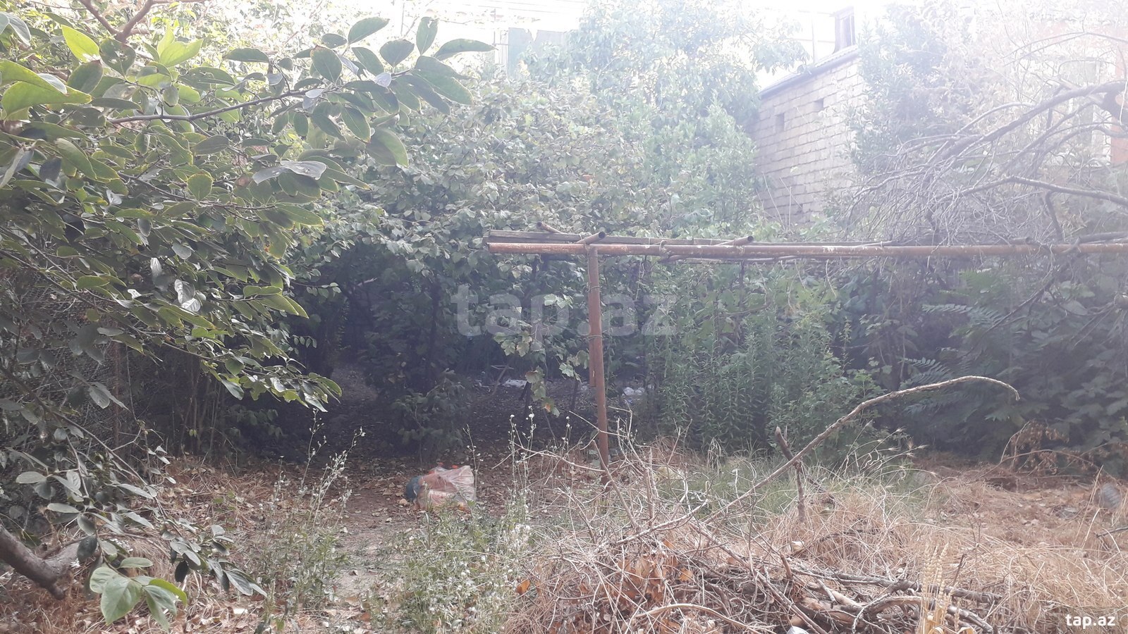 3 sot torpaq sahəsi, Biləcəri qəs.