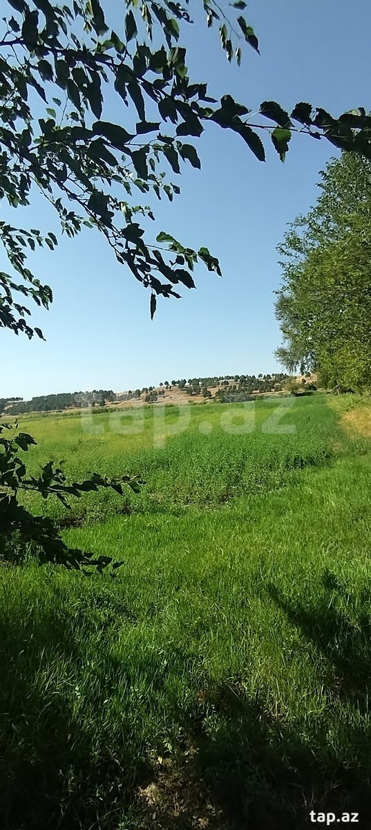 75 sot torpaq sahəsi, Şabran r.
