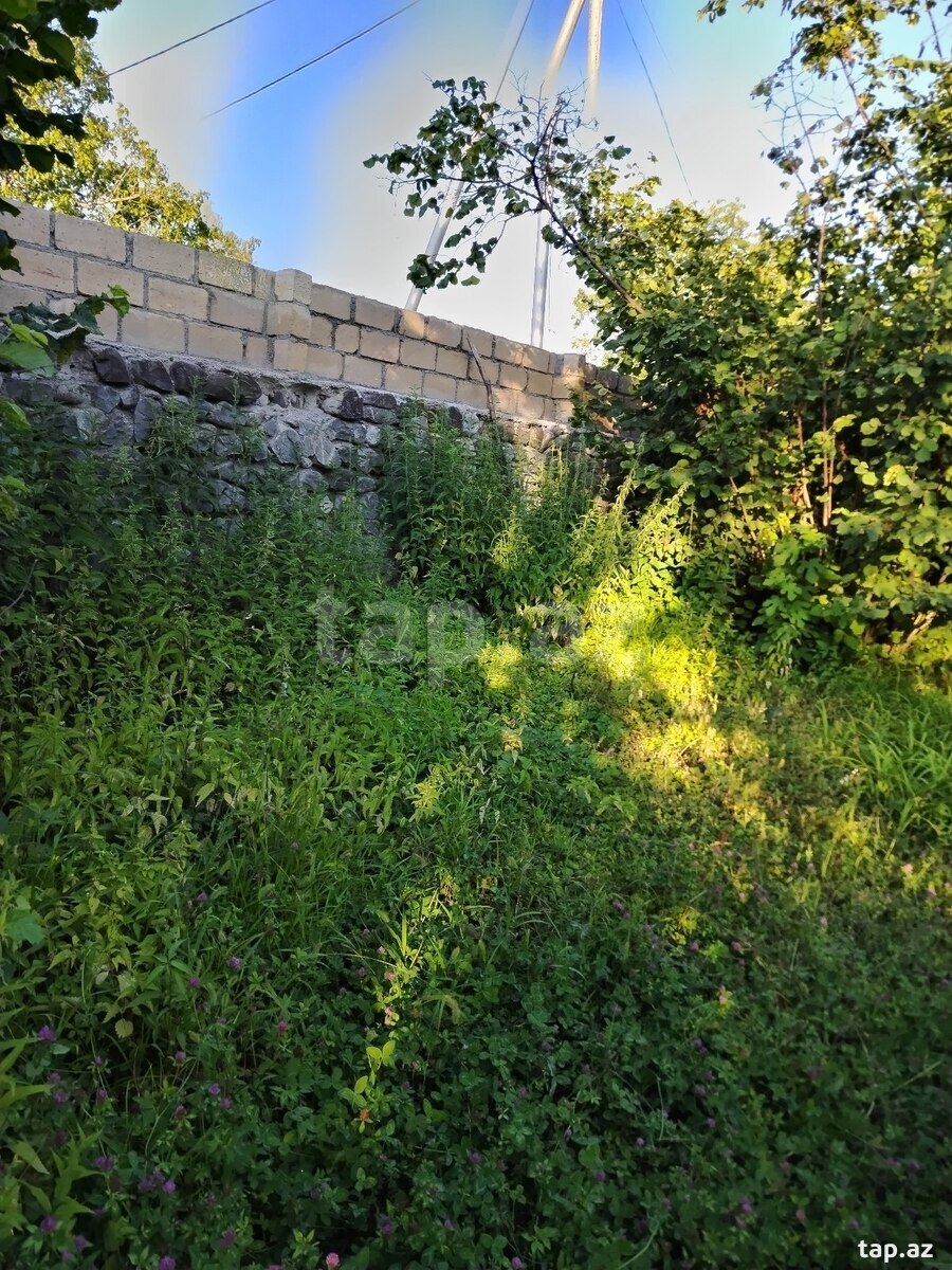 Həyət evi, Oğuz r.