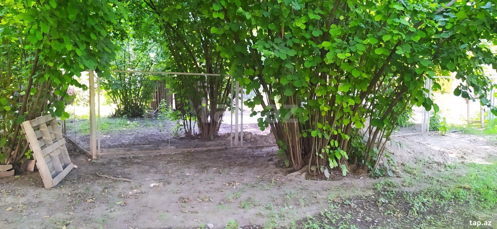 Həyət evi, Oğuz r.