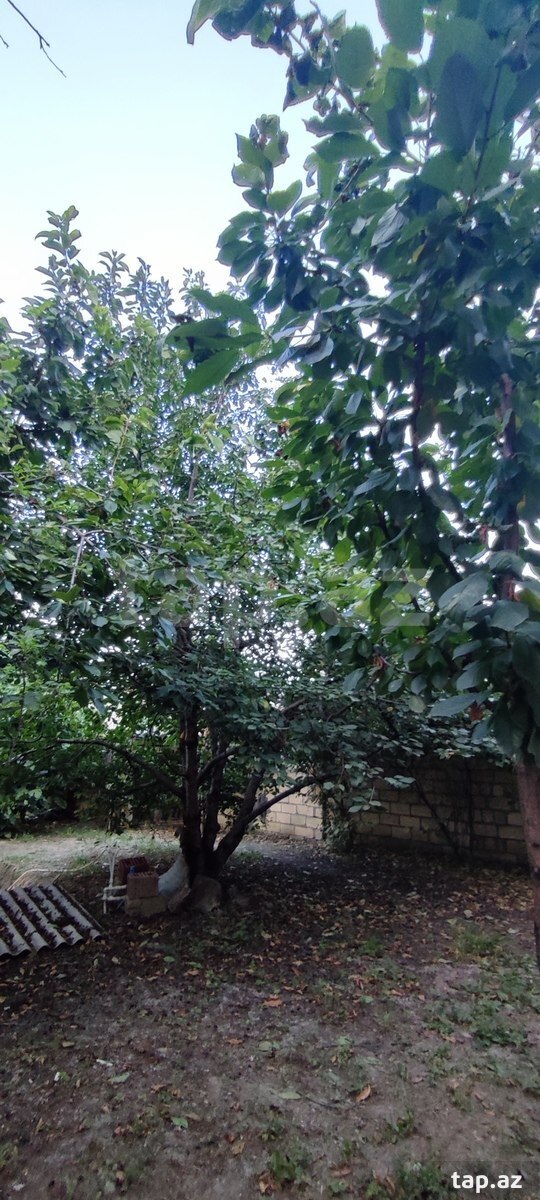 Həyət evi, Quba r.