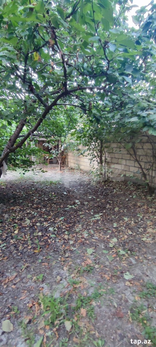 Həyət evi, Quba r.