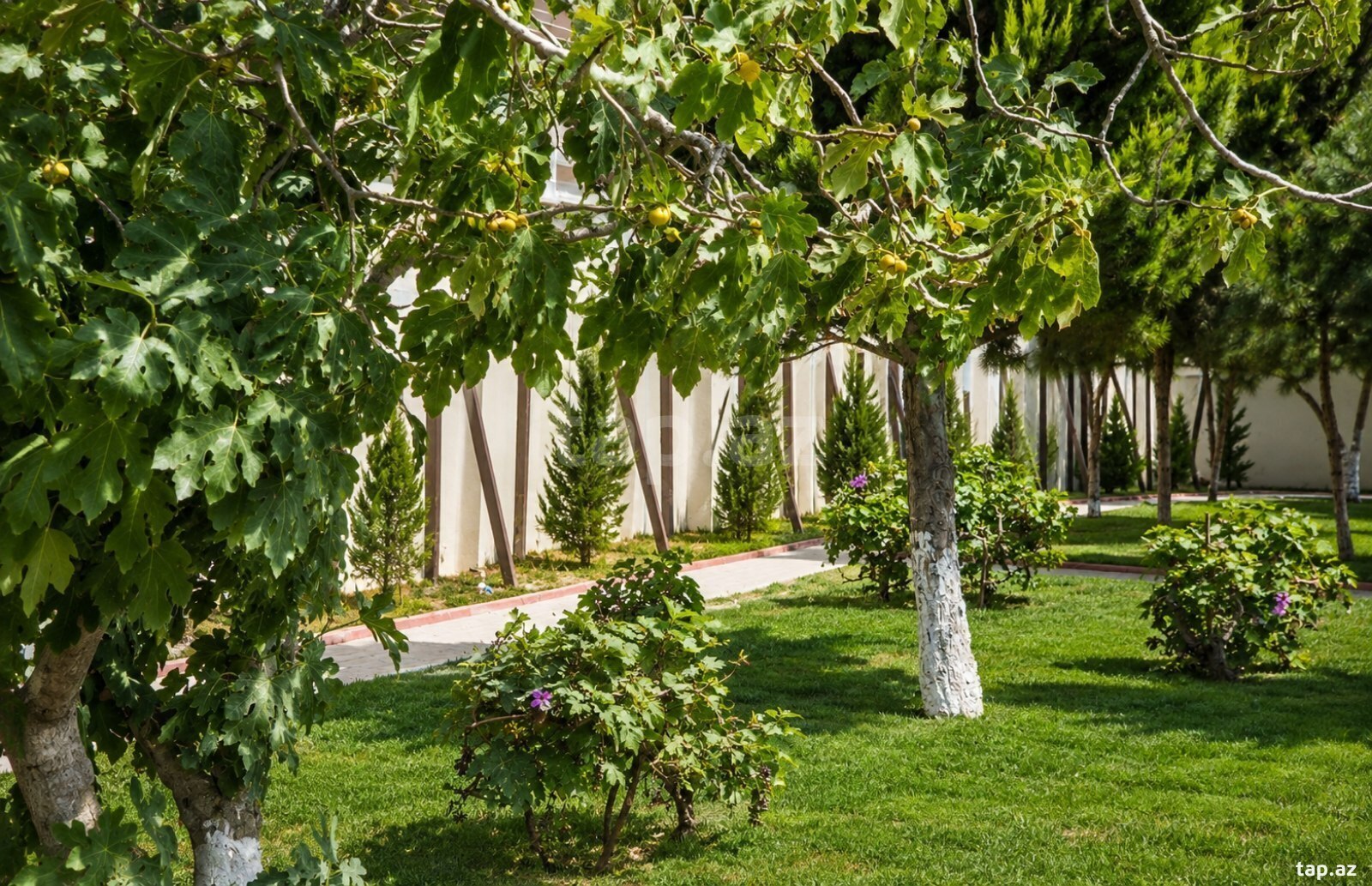 Villa, Bilgəh qəs.