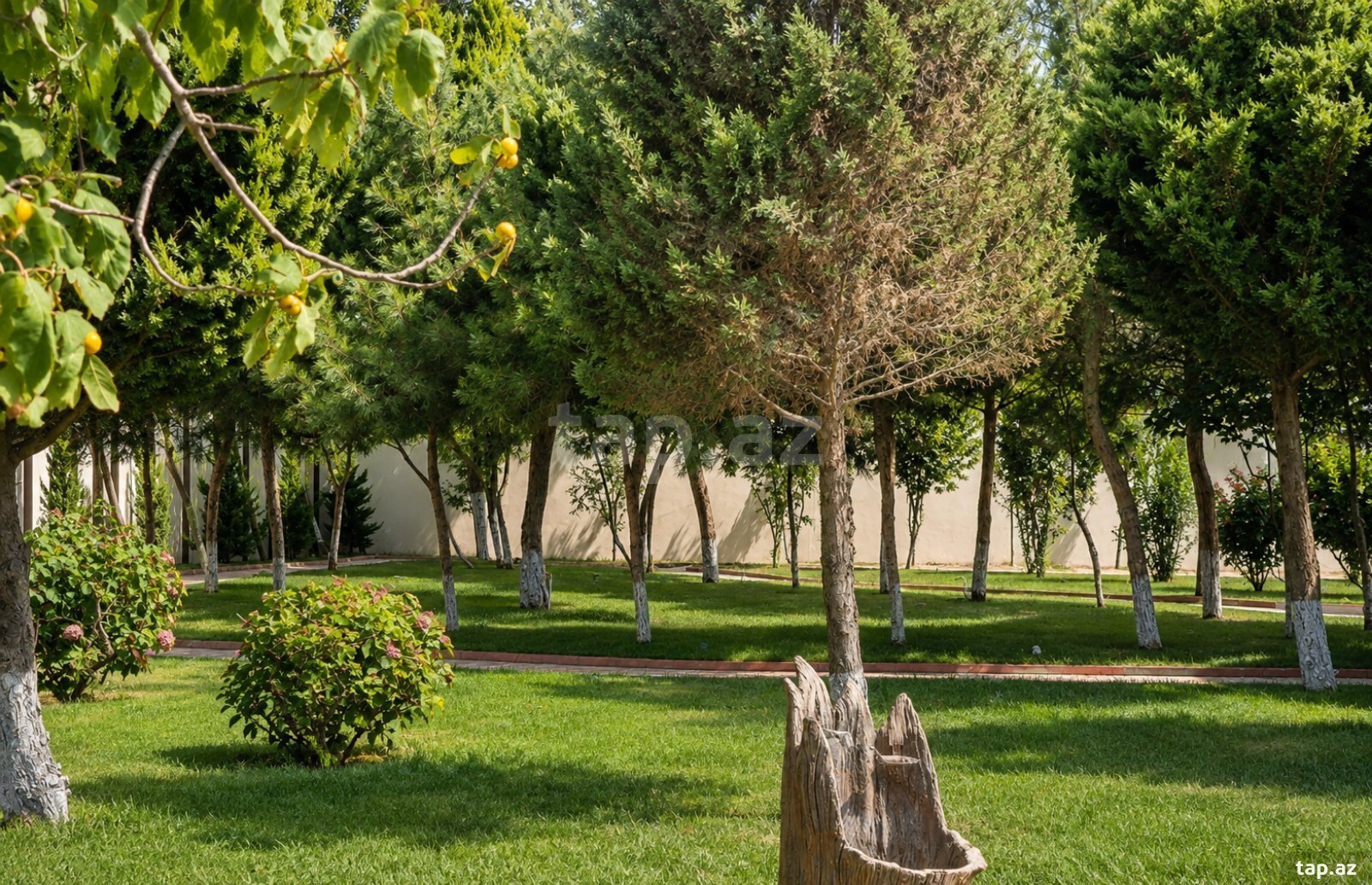 Villa, Bilgəh qəs.