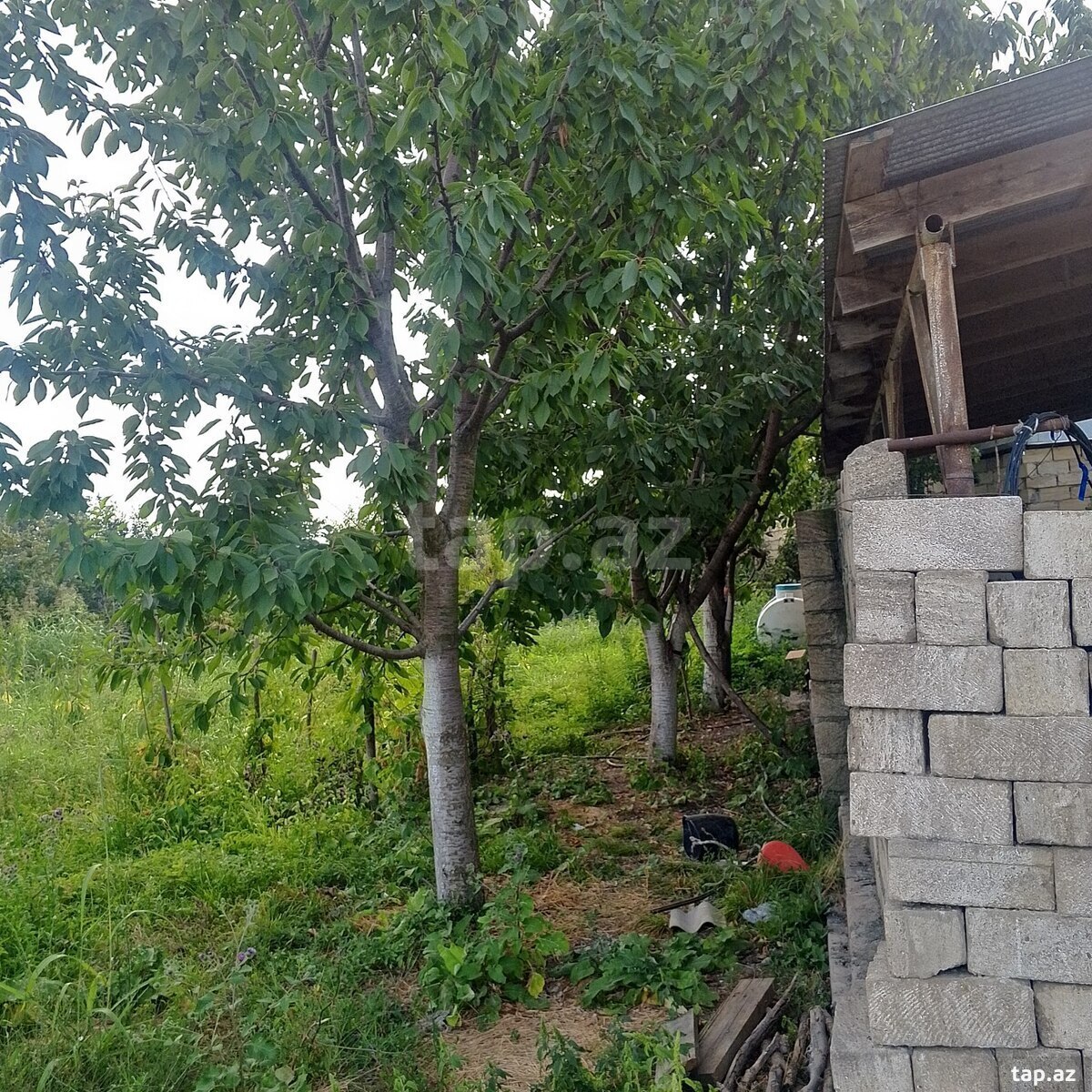 Bağ evi, Xaçmaz r.