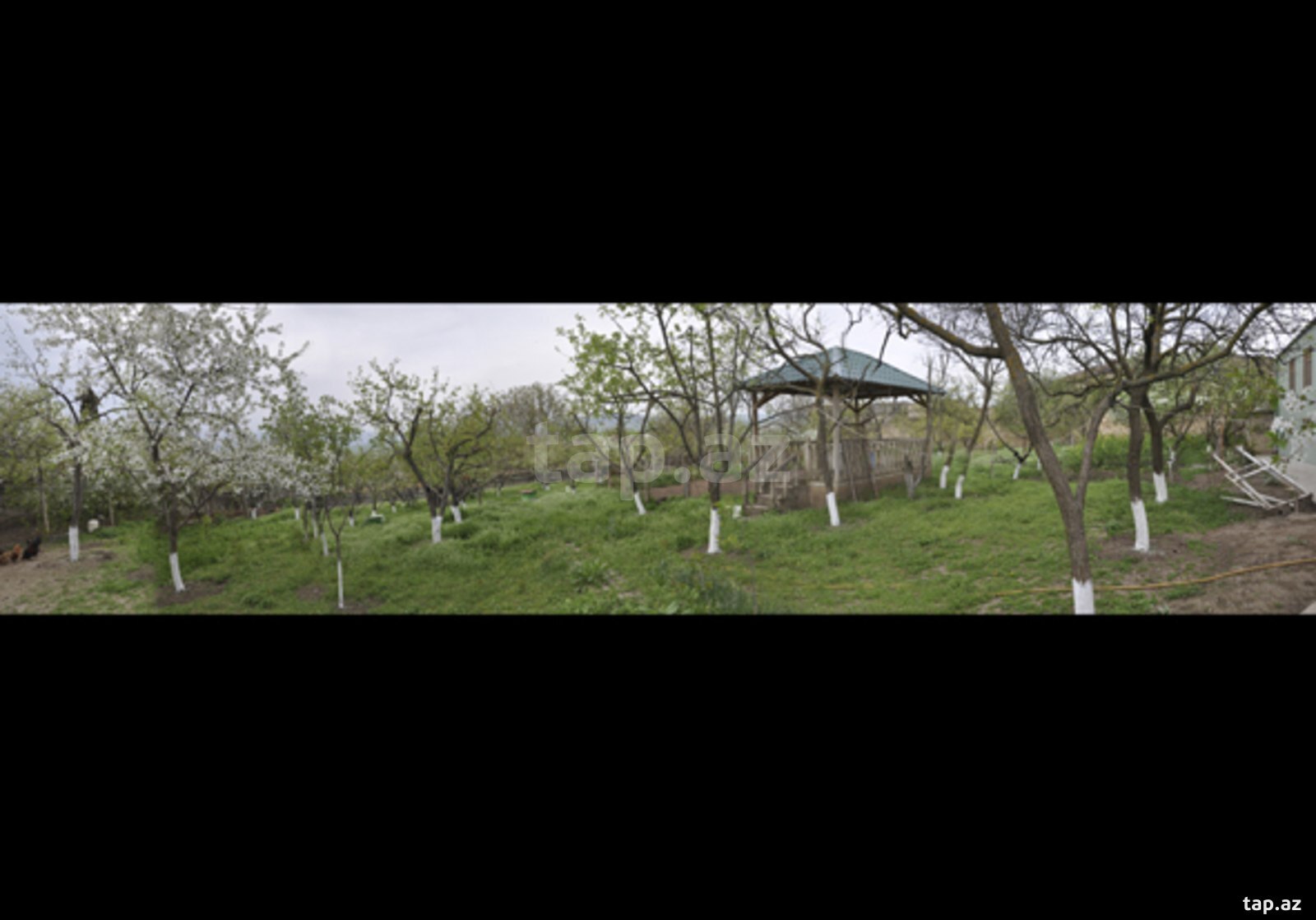Bağ evi, Şamaxı r.