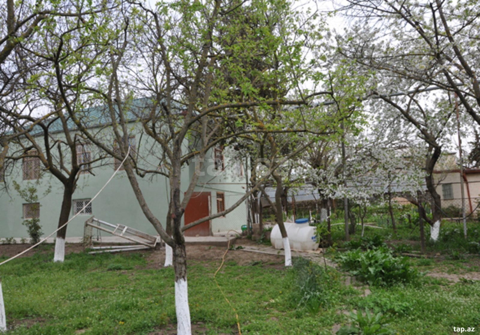 Bağ evi, Şamaxı r.