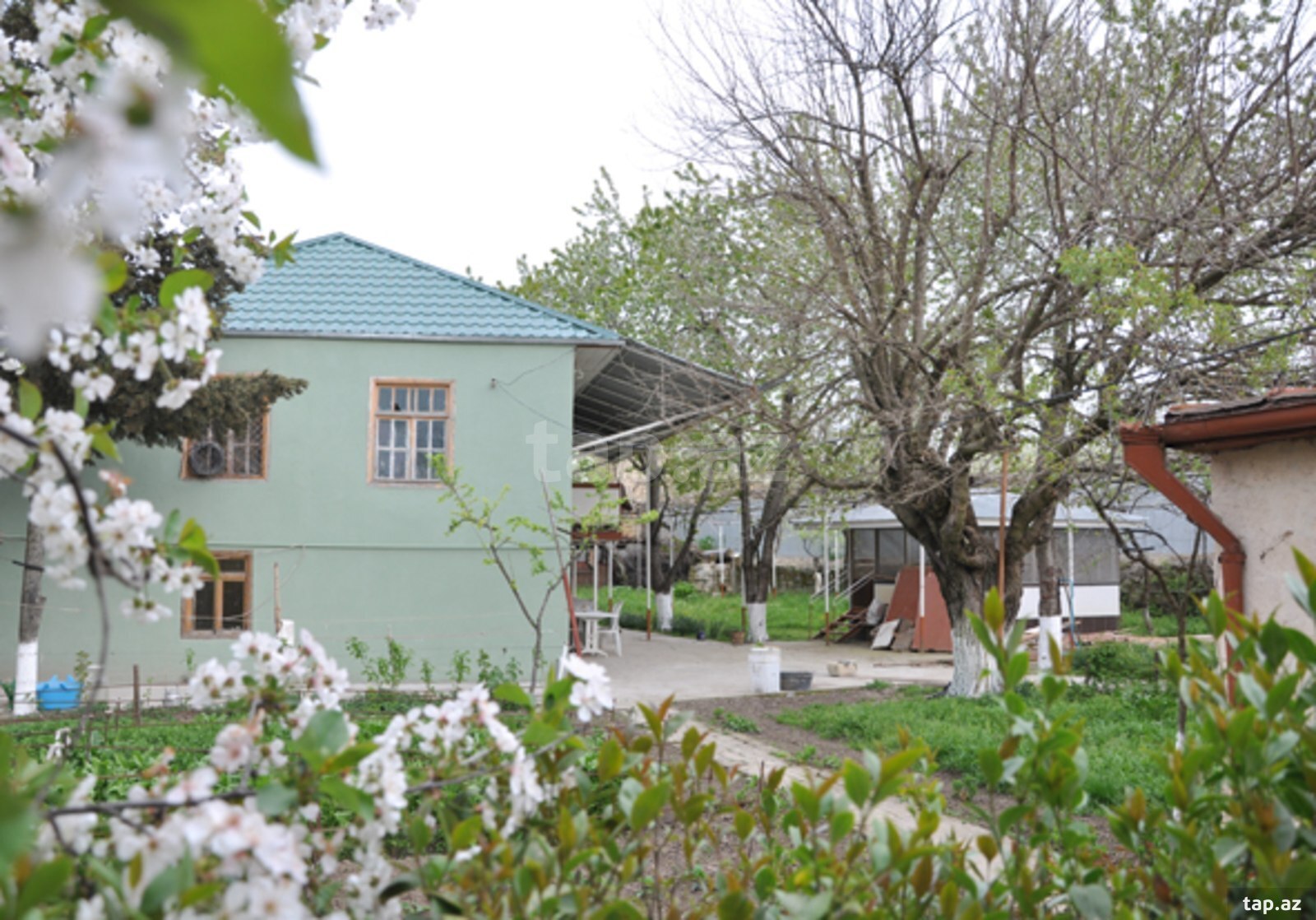Bağ evi, Şamaxı r.