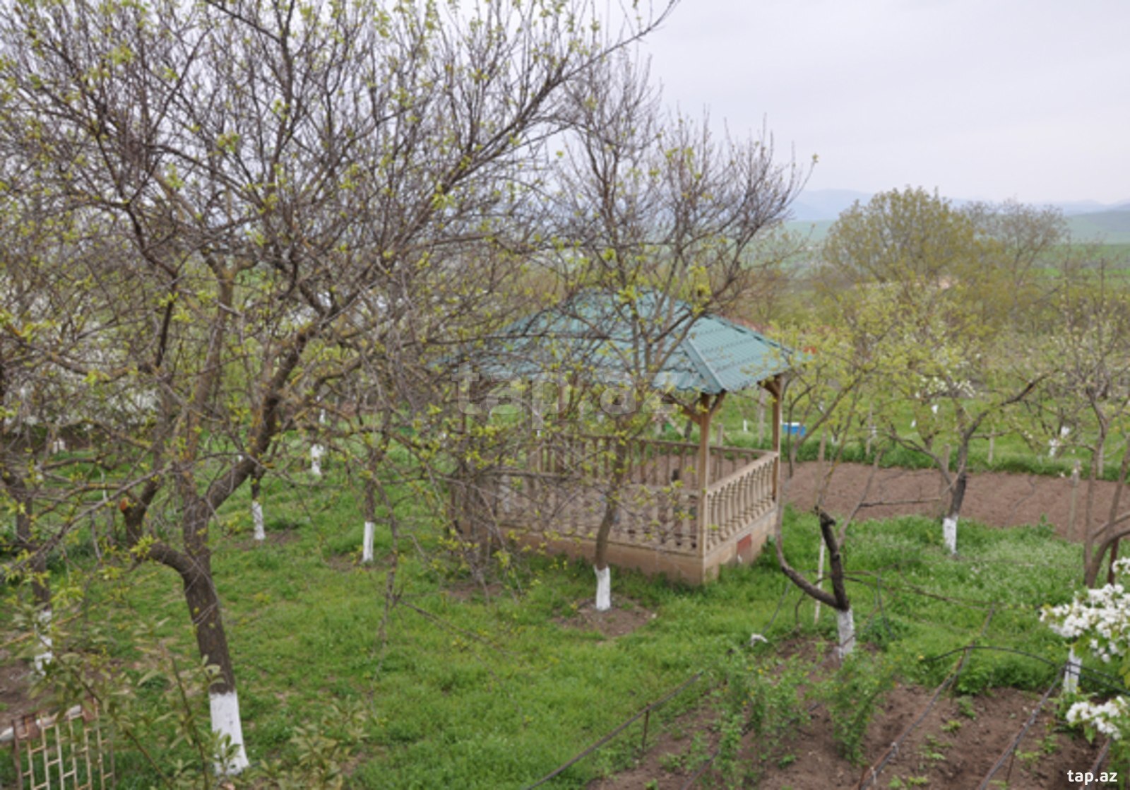 Bağ evi, Şamaxı r.