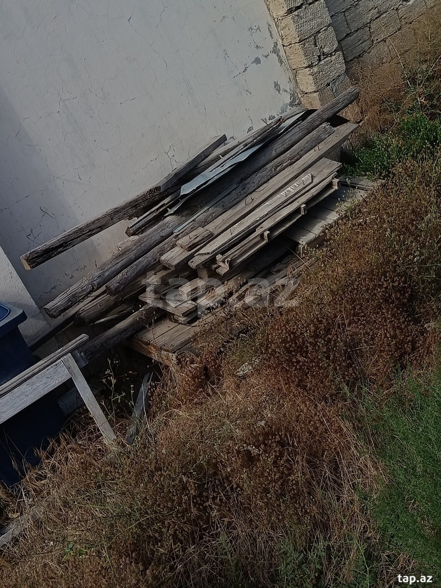 Taxta (pulsuz)