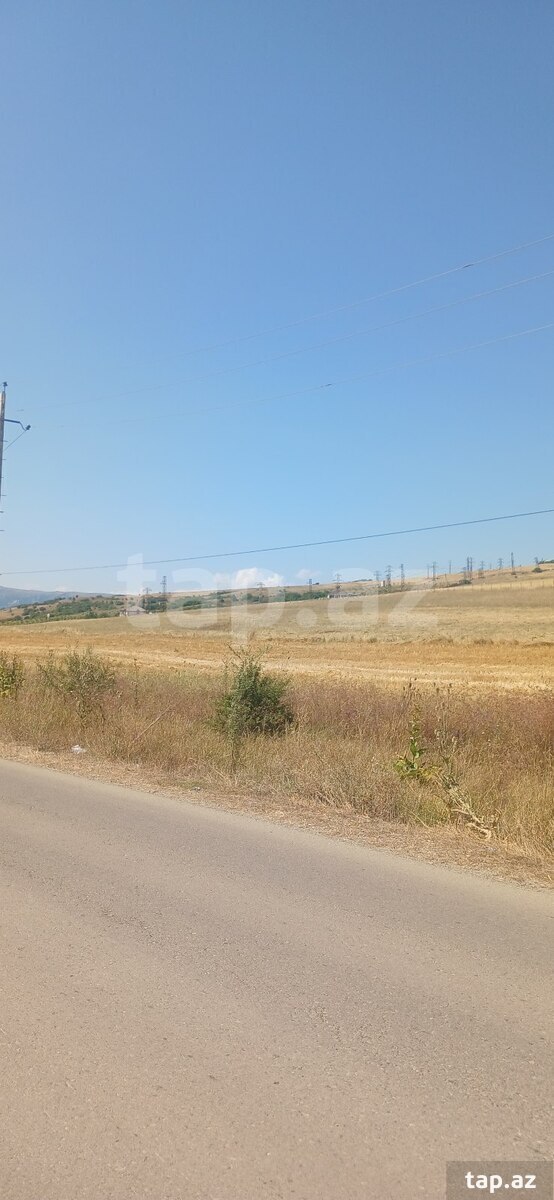 220 sot torpaq sahəsi, Şamaxı r.