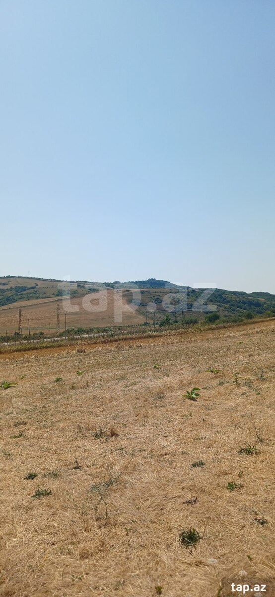 220 sot torpaq sahəsi, Şamaxı r.