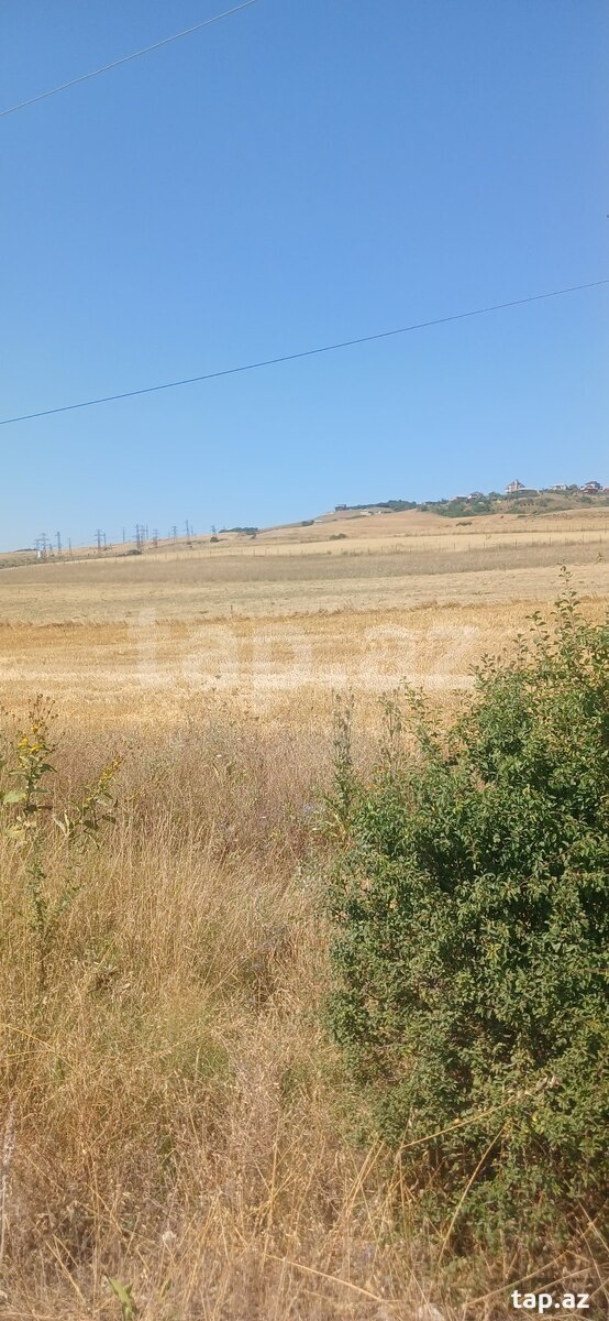 220 sot torpaq sahəsi, Şamaxı r.