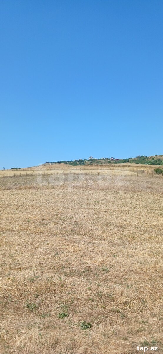 220 sot torpaq sahəsi, Şamaxı r.