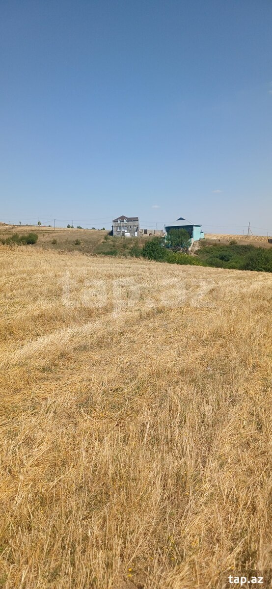 220 sot torpaq sahəsi, Şamaxı r.