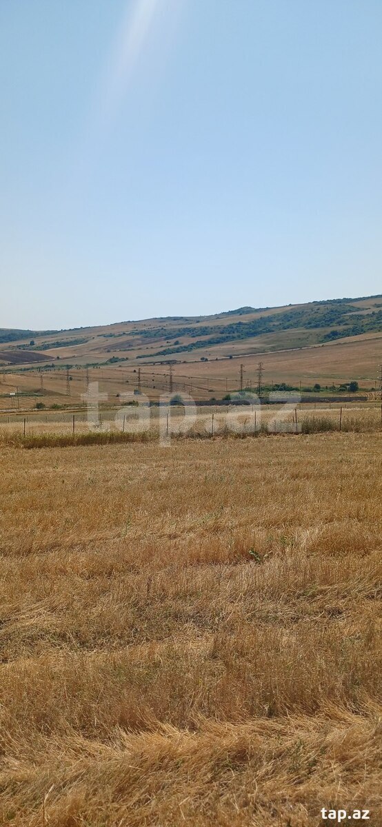 220 sot torpaq sahəsi, Şamaxı r.