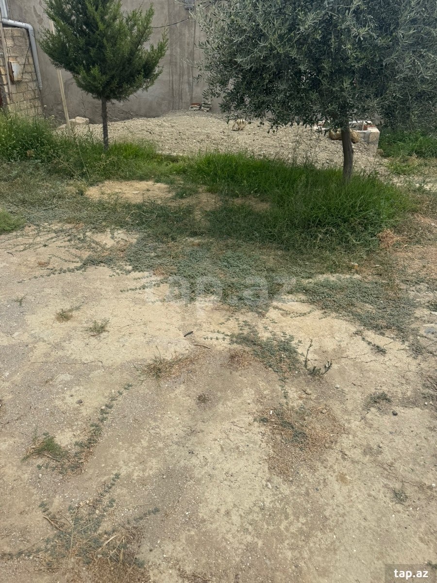 Torpaq satılır, Bakı