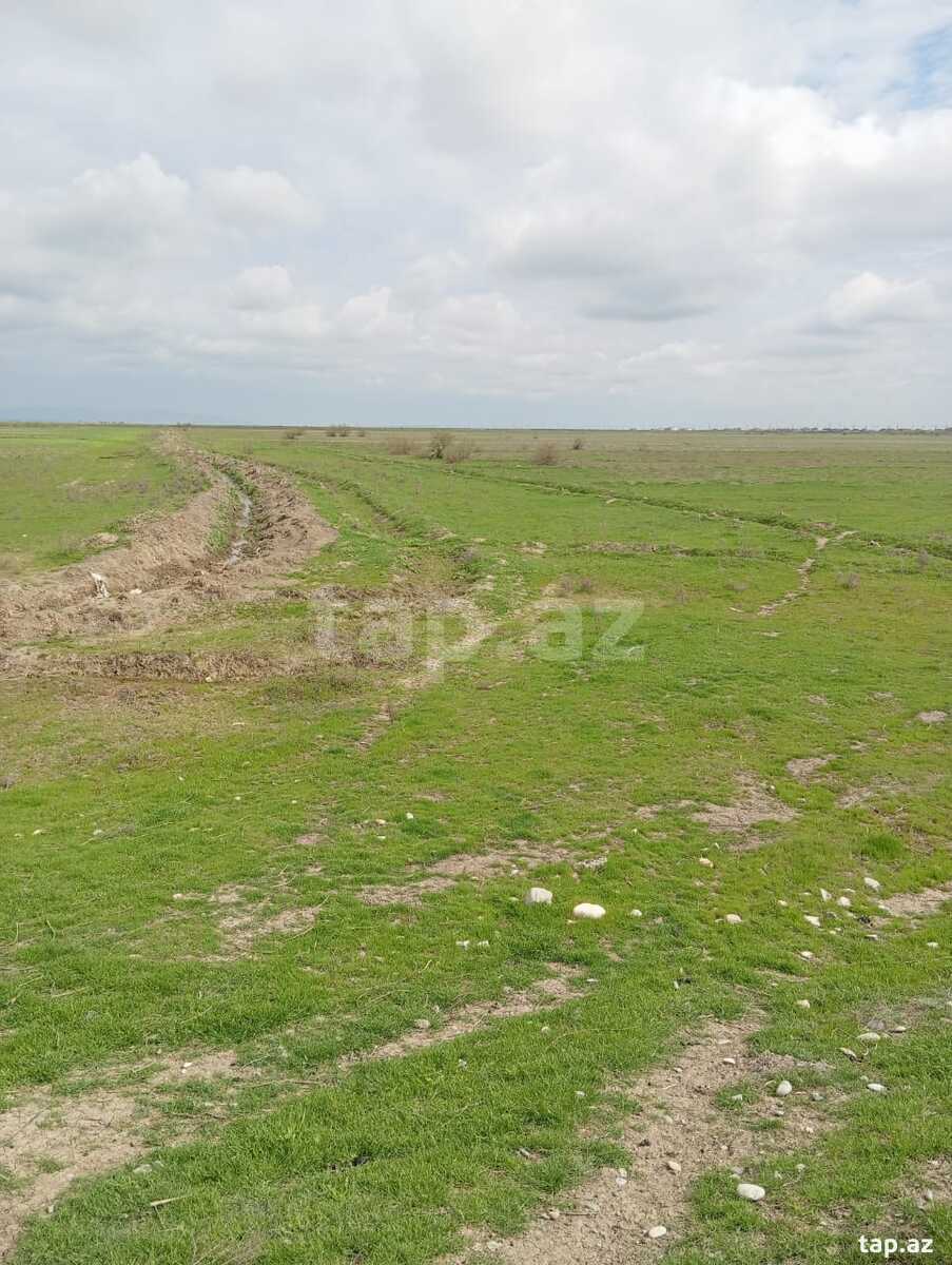1428 sot torpaq sahəsi, Hacıqabul r.