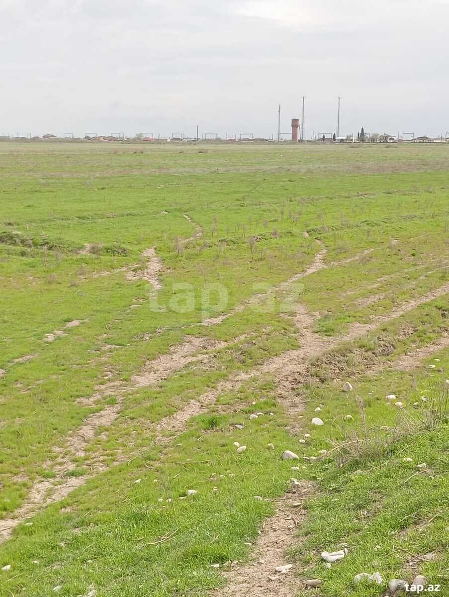 1428 sot torpaq sahəsi, Hacıqabul r.