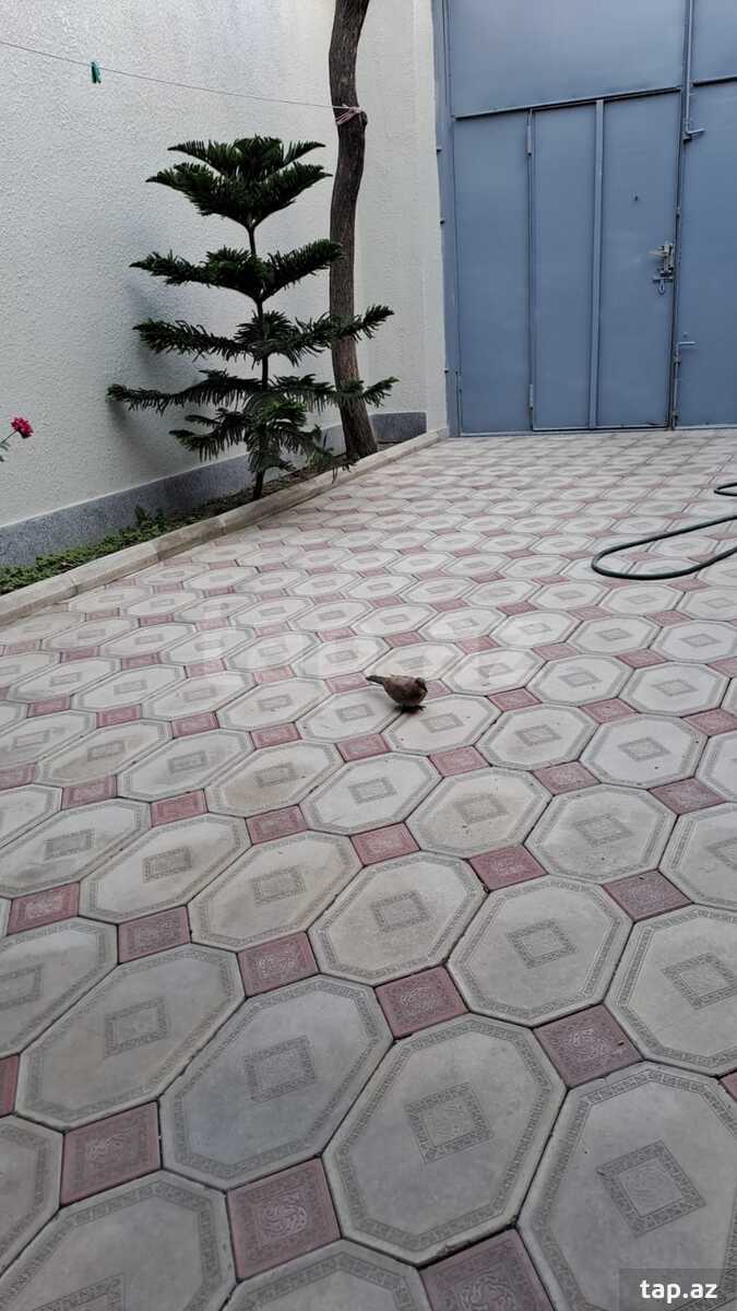 Həyət evi kirayə verilir, Nərimanov r.