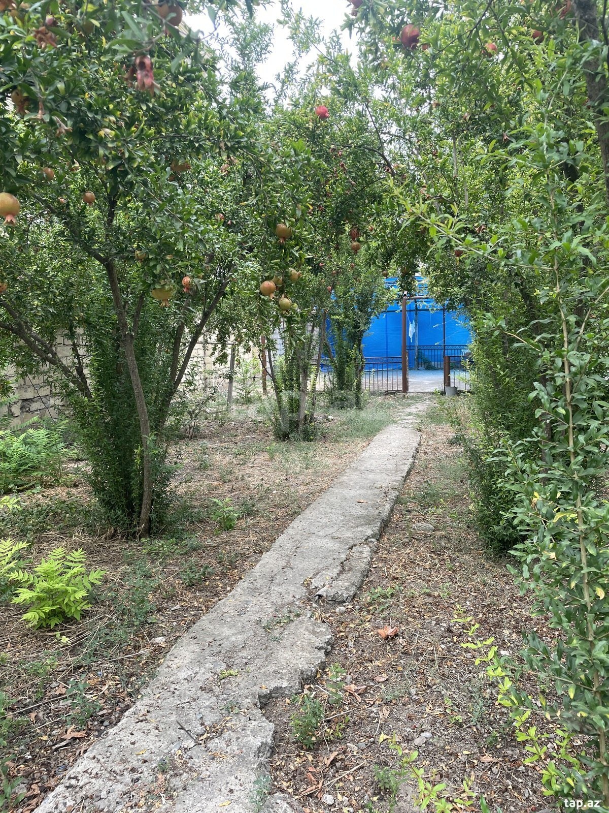 Həyət evi, Beyləqan r.