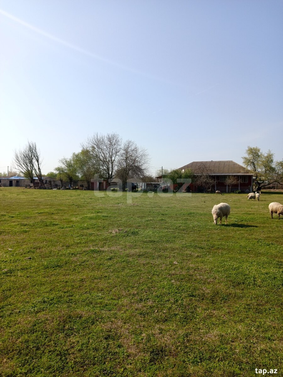 Həyət evi, Sabirabad r.