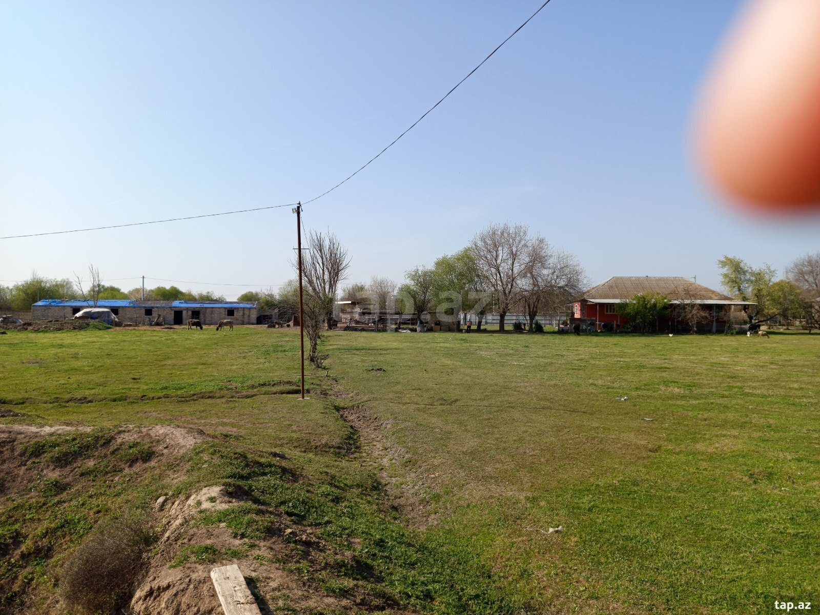 Həyət evi, Sabirabad r.