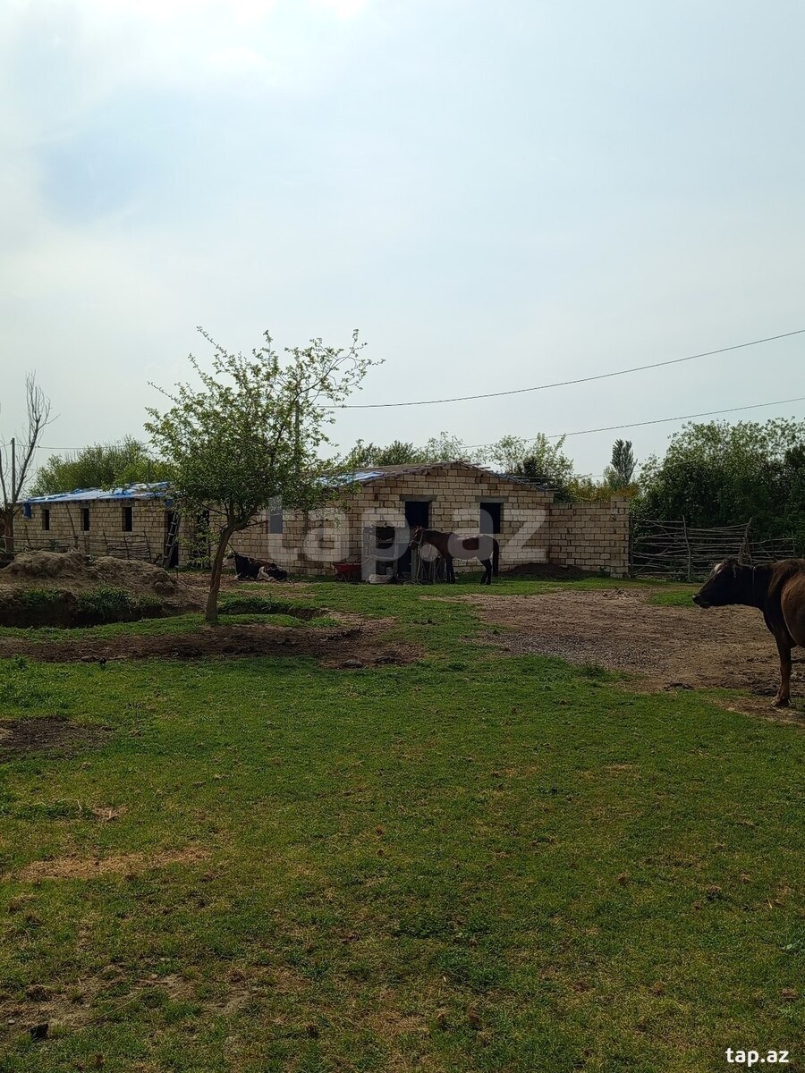Həyət evi, Sabirabad r.