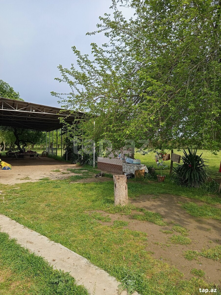 Həyət evi, Sabirabad r.