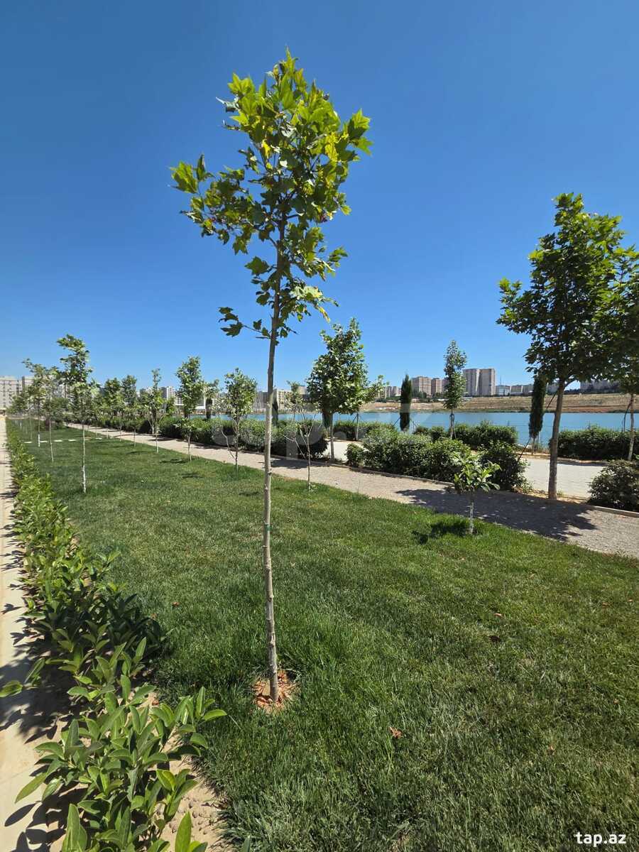 2-otaqlı yeni tikili, Yeni Yasamal qəs., 58 m²
