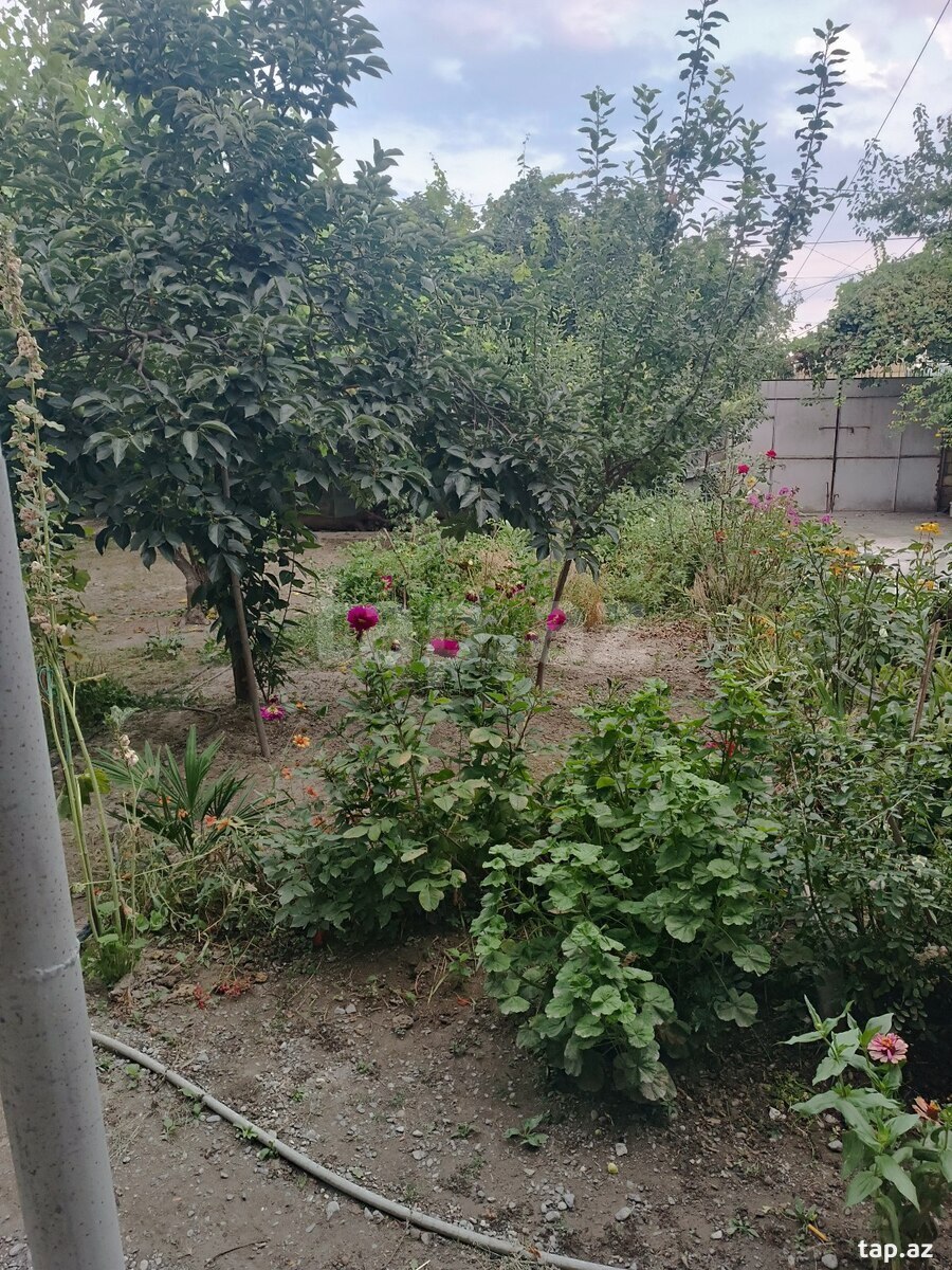 Həyət evi, Şəki r.