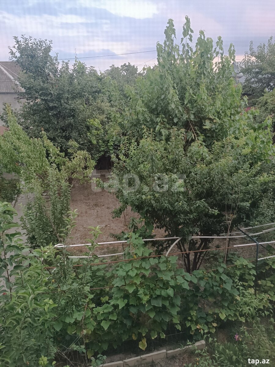 Həyət evi, Şəki r.